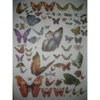 Декупажна карта 28*38см ЕВ-Д008 БАБОЧКИ