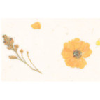 Папір ручної роботи URSUS А4 80г/м БОТАНИКА с бутон и аркуш Мэри UR-14572201R