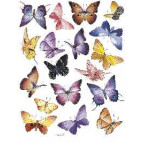 Декупажна карта 30*40 CLASSICA БАБОЧКИ 057