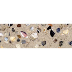 Картон URSUS 49,5*68см 300г UR-12722219 'Ракушки'