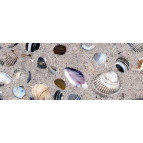 Картон URSUS А4 300г UR-12722219R 'Ракушки'