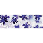 Калька URSUS А4 115г/м ФЛОРА Маргаритки UR-50214602R