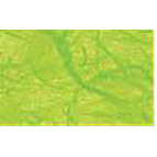 Папір натуральний URSUS В2 50*70см 25г с тутовими волокн Світло-Зелена UR-4812251