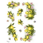 Декупажна карта рисова 35*50см RISE 5023 Лимони і квіти