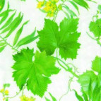 Салфетка для декупажа ! Поштучно 1/5 ! 33*33см 432690 Изумрудные листья