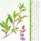 Салфетка для декупажа ! Поштучно 1/5 ! 33*33см 471190 Шалфей, белый