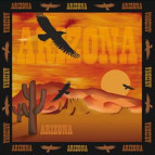 Салфетка для декупажа ! Поштучно 1/5 ! 33*33см №502 Аризона