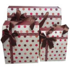 Пакет подарунковий паперовий LULU в145*ш115*т85мм 94103 коробка