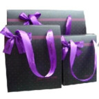 Пакет подарунковий паперовий LULU в170*ш145*т95мм 95002 коробка