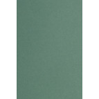 Папір тонований ЛІЛІЯ-ХОЛДІНГ А4 1аркуш 200г/м2 ЗЕЛЕНИЙ КЦА4зел