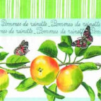 Салфетка для декупажа ! Поштучно 1/5 ! 33*33см 471920 Яблоки Ранет, зеленая