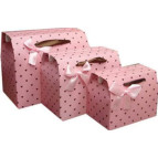 Пакет подарунковий паперовий LULU в220*ш215*т140мм GH003L коробка