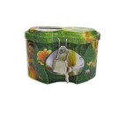 Копилка метал DSN 2643X Феї