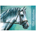 Папір-склейка Kreska А4 21*29,7см 210г/м 15арк 16P510941