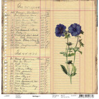 Папір для скрапбукінга ROSA Talent 30.5*30.5см Heritage-1 180 г/м 481201-1