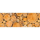 Картон URSUS А4 300г UR-12722261R 'Колоди'