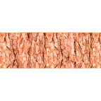 Картон URSUS А4 300г UR-12722262R 'Кора'