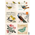 Декупажна карта 29,5*42см ЕВ-Д089 Поштові картки. Птахи,метелики,квіти