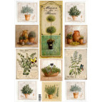 Декупажна карта 29,5*42см ЕВ-Д105 Рослини Прованса