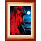 Алмазна мозаїка по номерам на холсті LasKo 5D-007 Лід і полумя