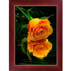 Алмазна мозаїка по номерам на холсті LasKo 5D-032 Троянда над водою