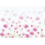 Декупажна карта 29,7*42см 55г/м Фабрика Декору FDCDA3-000129