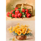 Декупажна карта 21*30см 55г/м Фабрика Декору FDCD-0245