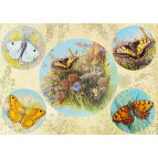 Декупажна карта 21*30см 55г/м Фабрика Декору FDCD-0249