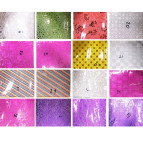 Папір для творчості А4 10арк голограф. самоклейка W55 асорті