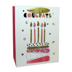 Пакет подарунковий паперовий HP 18*23*10см HP-736S-1 Congrats