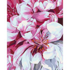 Картина по номер. на холсті 40*50см Идейка КН2094 П'янкий аромат