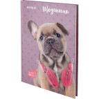 Щоденник шкільний Kite мод 262 Studio Pets SP20-262-2