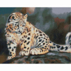 Алмазна мозаїка по номерам на холсті 40*50см Никитошка GF3027 Ніжність