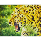 Алмазна мозаїка по номерам на холсті 30*40см Josef Otten GB70074 Гепард