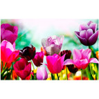 Алмазна мозаїка по номерам на холсті 30*40см Josef Otten GB70069 Тюльпани