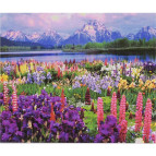Алмазна мозаїка по номерам на холсті 30*40см Josef Otten GB70028 Гірські квіти