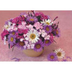 Алмазна мозаїка по номерам на холсті 20*30см Josef Otten EJS20475 Букет ромашок