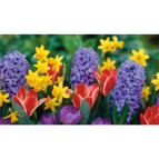 Алмазна мозаїка по номерам на холсті 30*40см Josef Otten GB70011 Садові квіти