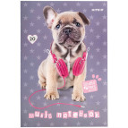 Нотний зошит Kite А4 20арк Studio Pets SP21-404