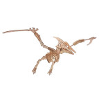 Модель 3D дерев'янна сборна WoodCraft HM07 Динозавр-11 65,2*35,4*25см