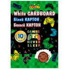 Картон білий А4 10арк Kidis Gamers never sleep 220г/м 13493