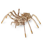 Модель 3D дерев'янна сборна механічна EVA Eco-Wood-Art SPIDER 000488
