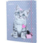 Папка-короб А4 на гумках Kite картон  ДЛЯ ТРУДА Studio Pets SP22-213