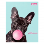 Щоденник шкільний 1 Вересня 911458 інтегр. Bubble