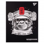 Щоденник шкільний YES 911436 Інтегр. Harry