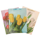 Пакет подарунковий паперовий 30*41*11см ООПТ Тюльпани A-00014
