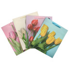 Пакет подарунковий паперовий 26*32*10см ООПТ Тюльпани B-00014