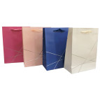 Пакет подарунковий паперовий 17,5*24*8см ООПТ Смужки C-1050-S