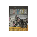 Щоденник шкільний МАНДАРИН А5+ 40арк 7БЦ SD1721 ДН1004 (349458)