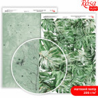 Папір для дизайну Rosa Talent А4 200г/м матовий двостор. King Protea-2 5311177